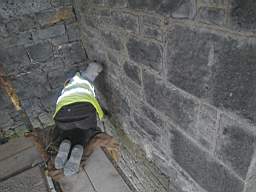 acastle 155800.jpg